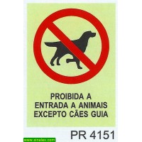 PR4151 proibida entrada animais excepto caes guia
