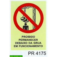 PR4175 proibido permanecer debaixo grua funcionamento