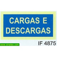 IF4875 cargas descargas