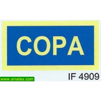 IF4909 copa