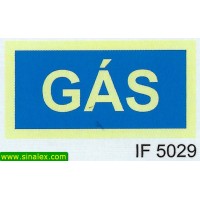 IF5029 gas