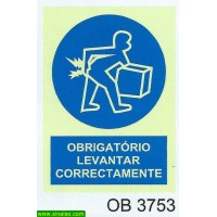 OB3753 obrigatorio levantar correctamente